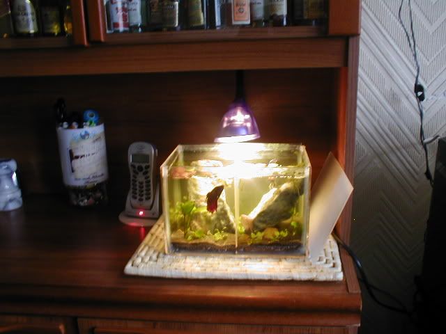Picture023.jpg
