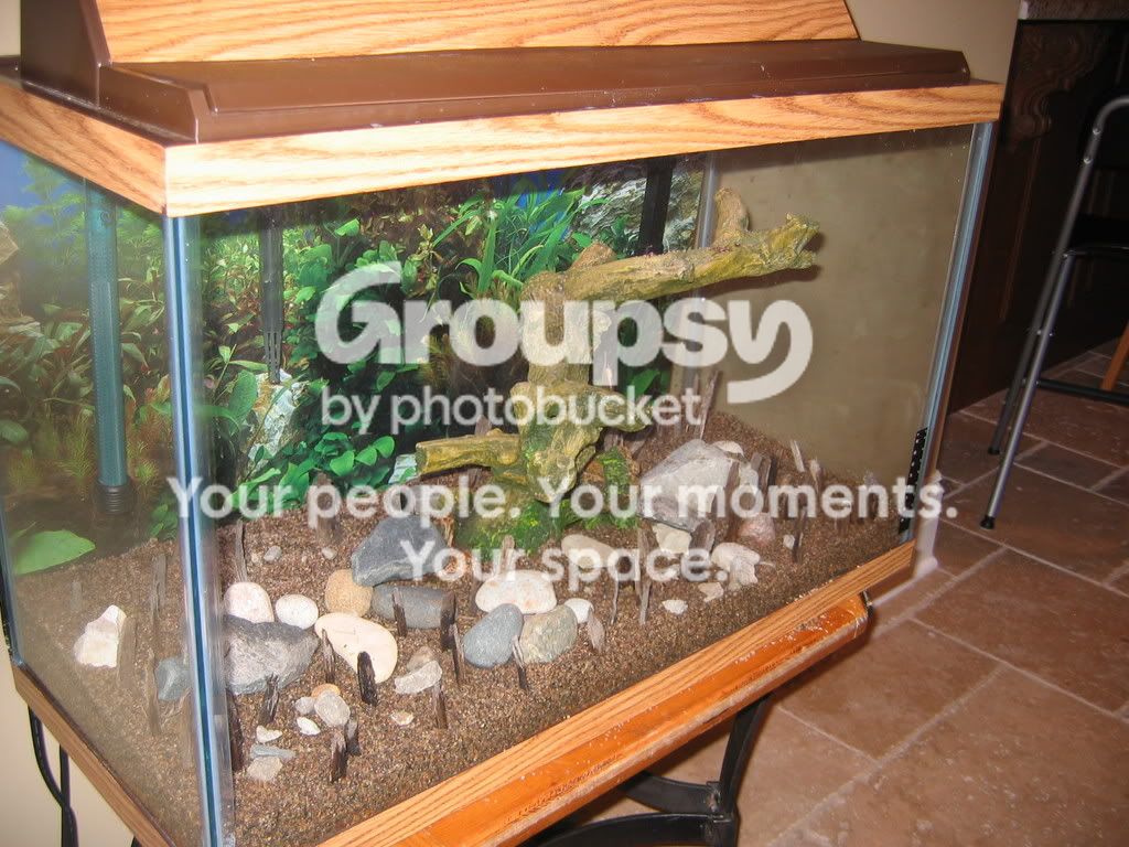 aquariumbefore005.jpg