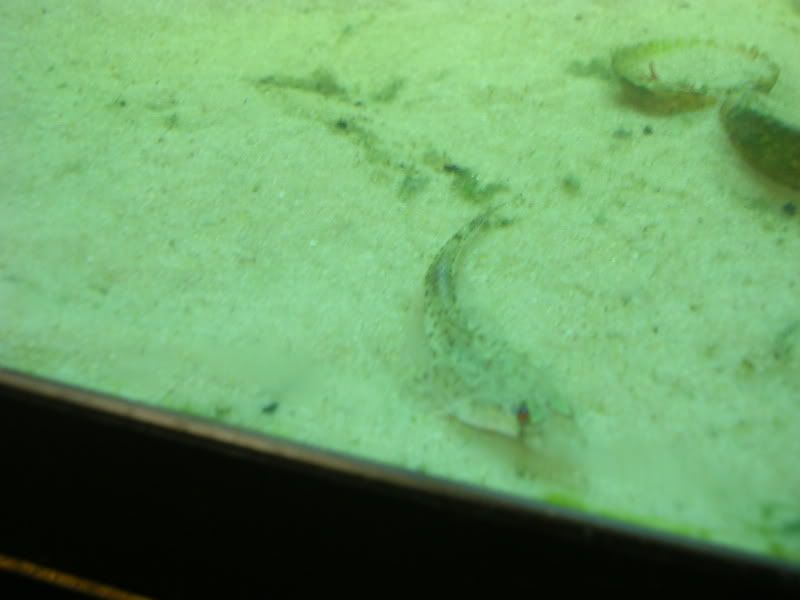 DSCN3729.jpg