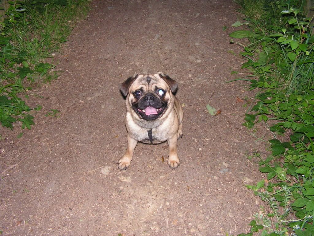 PICT0901.jpg