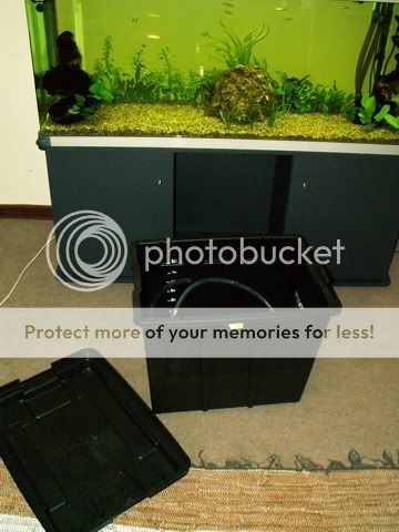 PICT7277.jpg