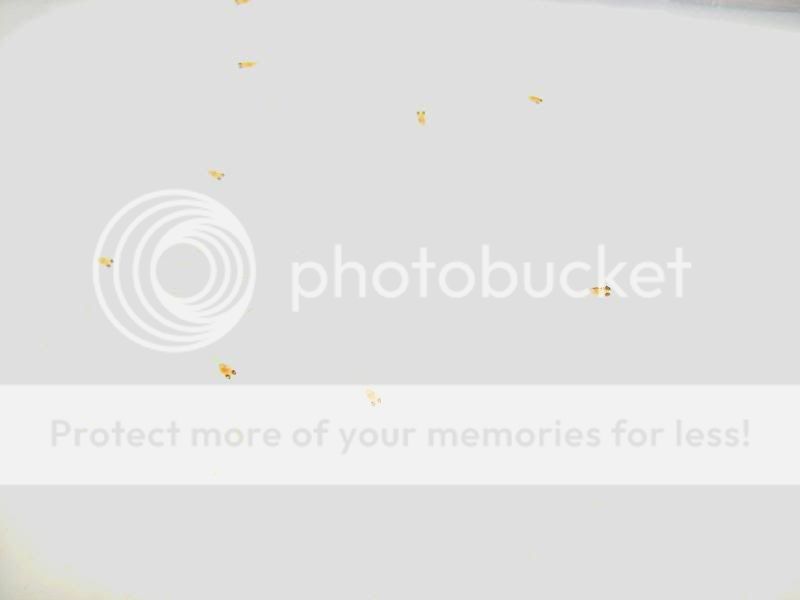 sortedphotos0800047.jpg