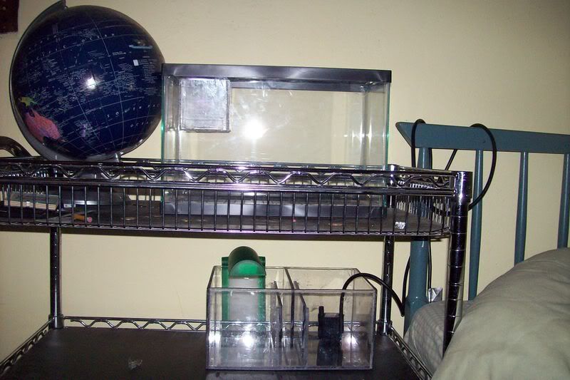 aquarium021.jpg