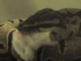 Picture0167.jpg