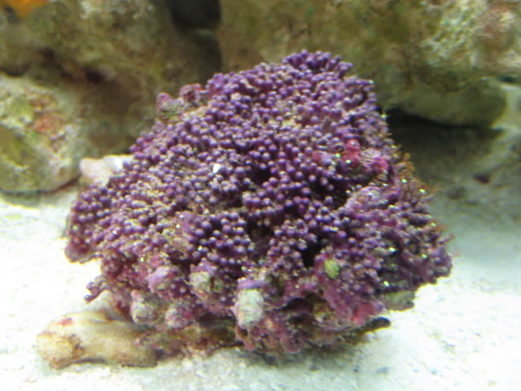 IMG_0659.jpg