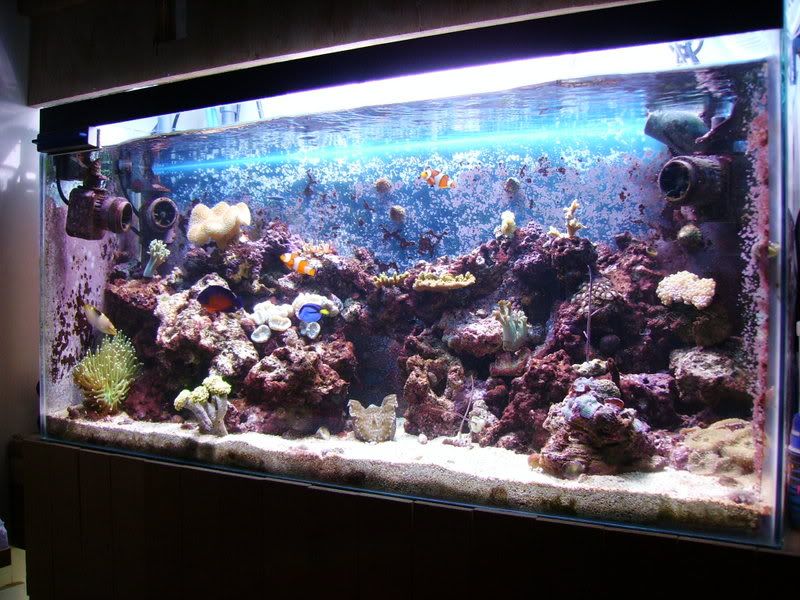 FTS06-1.jpg
