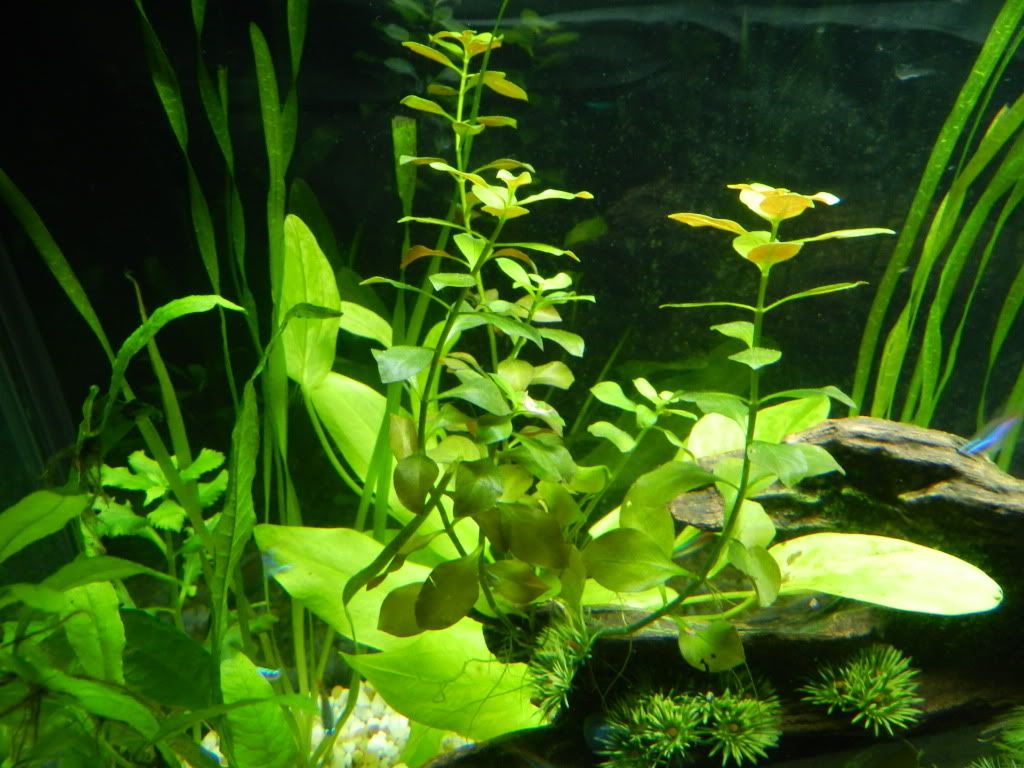 DSCN5310.jpg