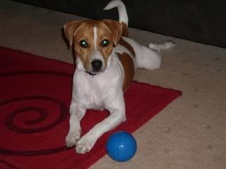 IMGP0105.jpg