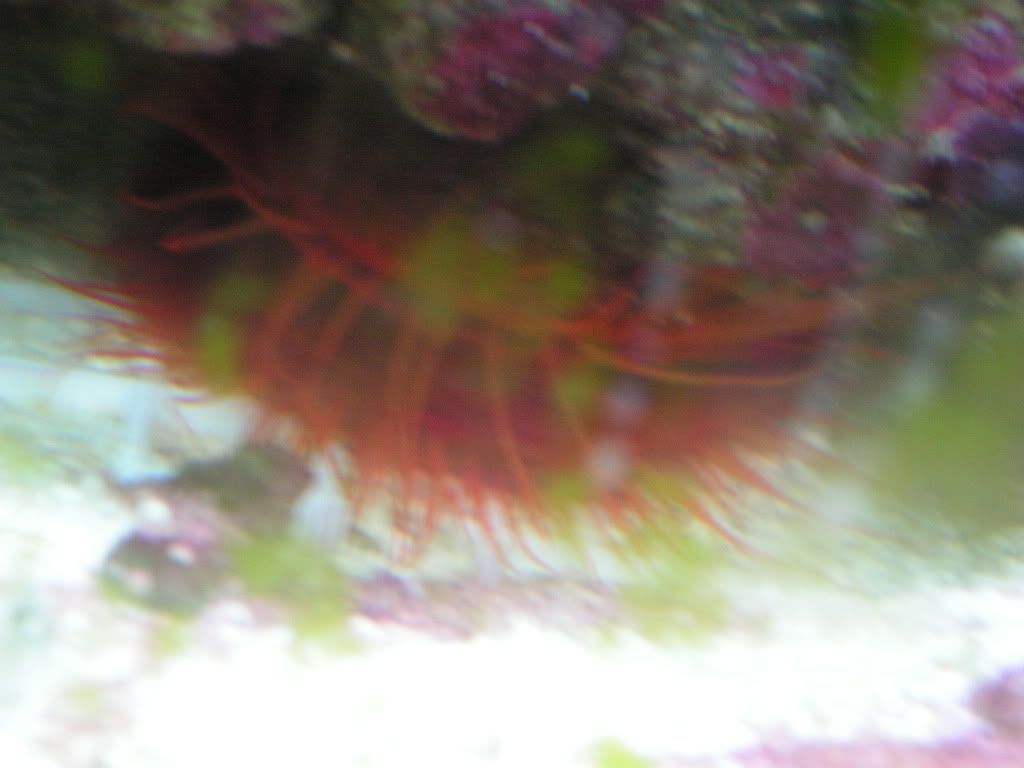 PICT1470.jpg