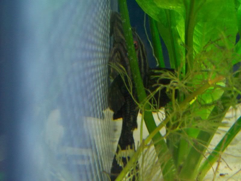 100_0515.jpg