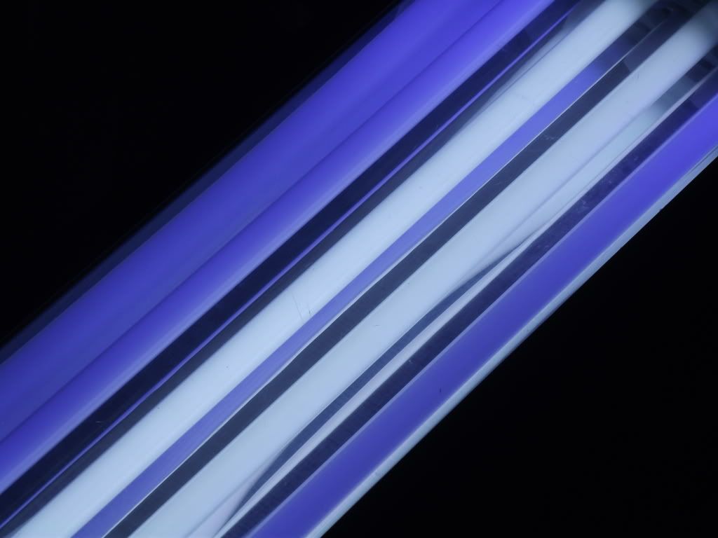 DSCF1448.jpg