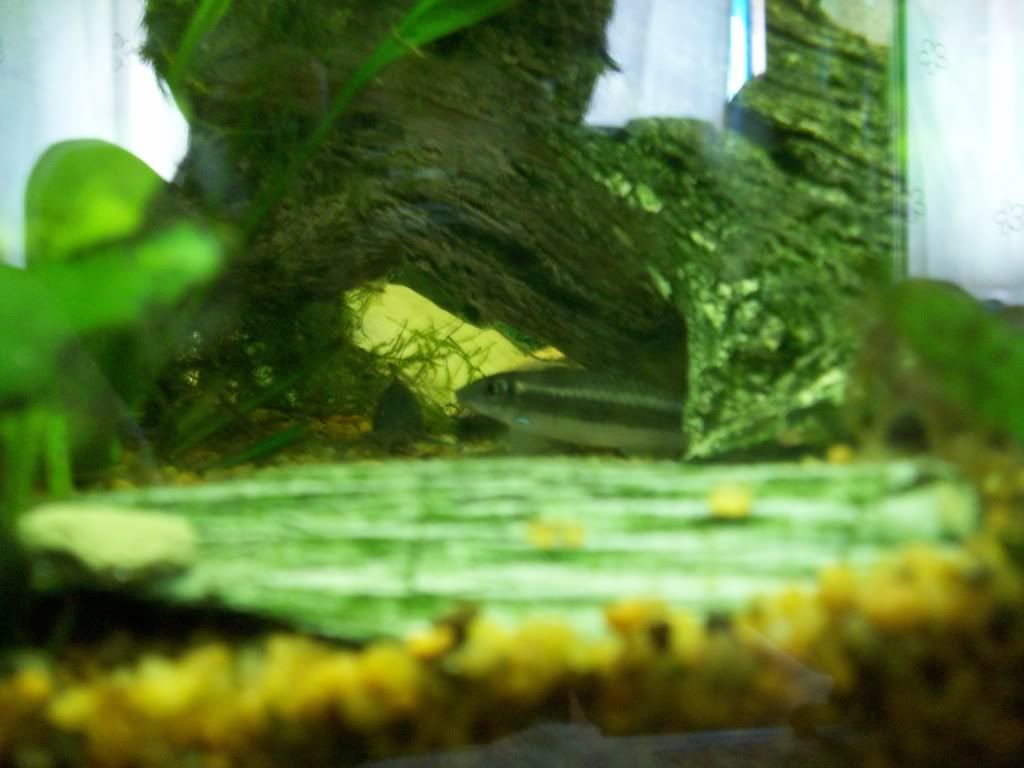 100_0120.jpg