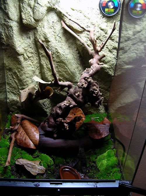 DSCN5419.jpg