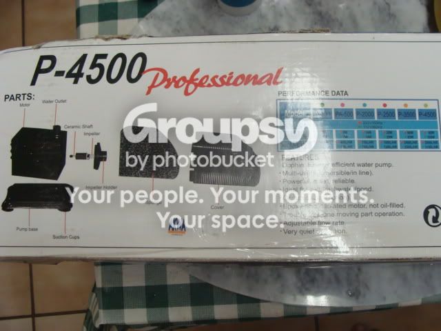 Dolphin500Proff003.jpg