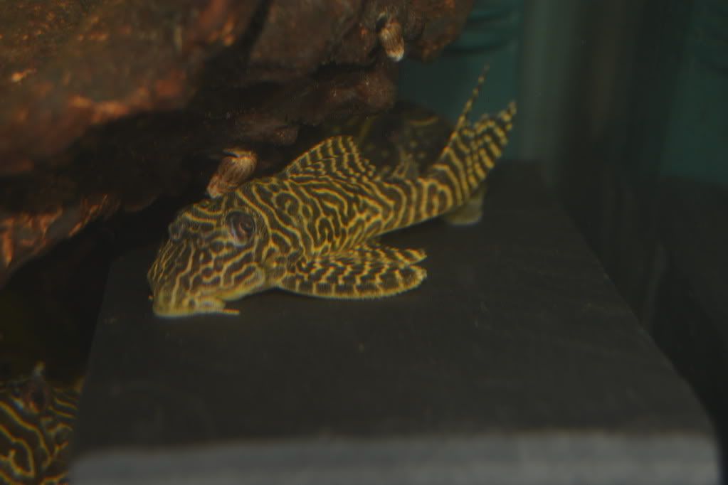 DSC_0374.jpg