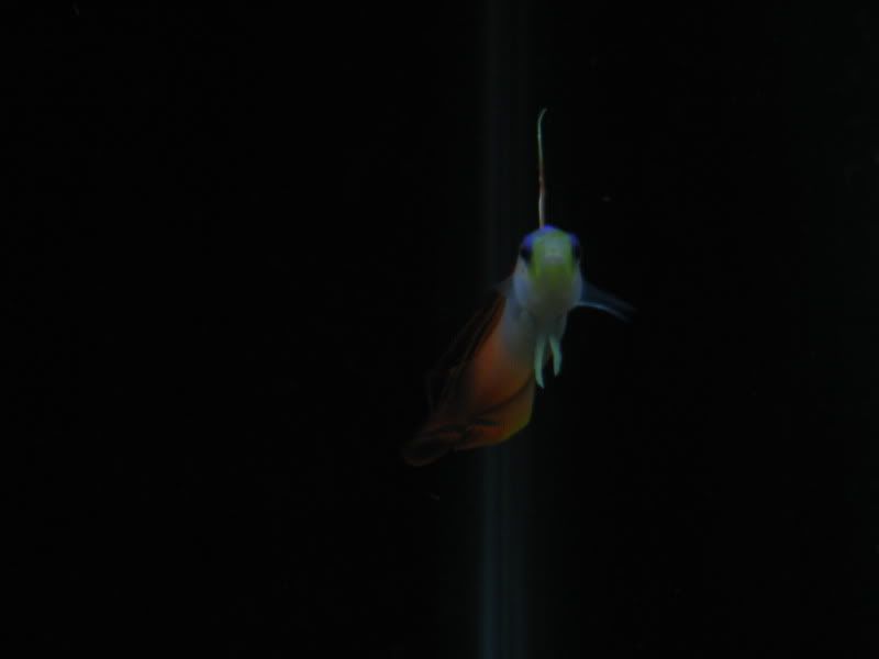 IMG_2985.jpg