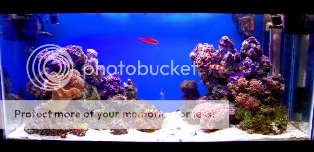 2009_0702Reef0225a.jpg