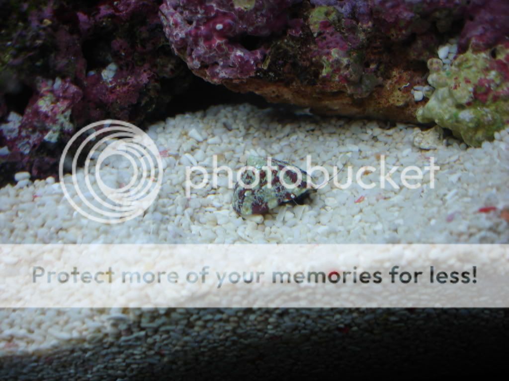 DSC06676.jpg