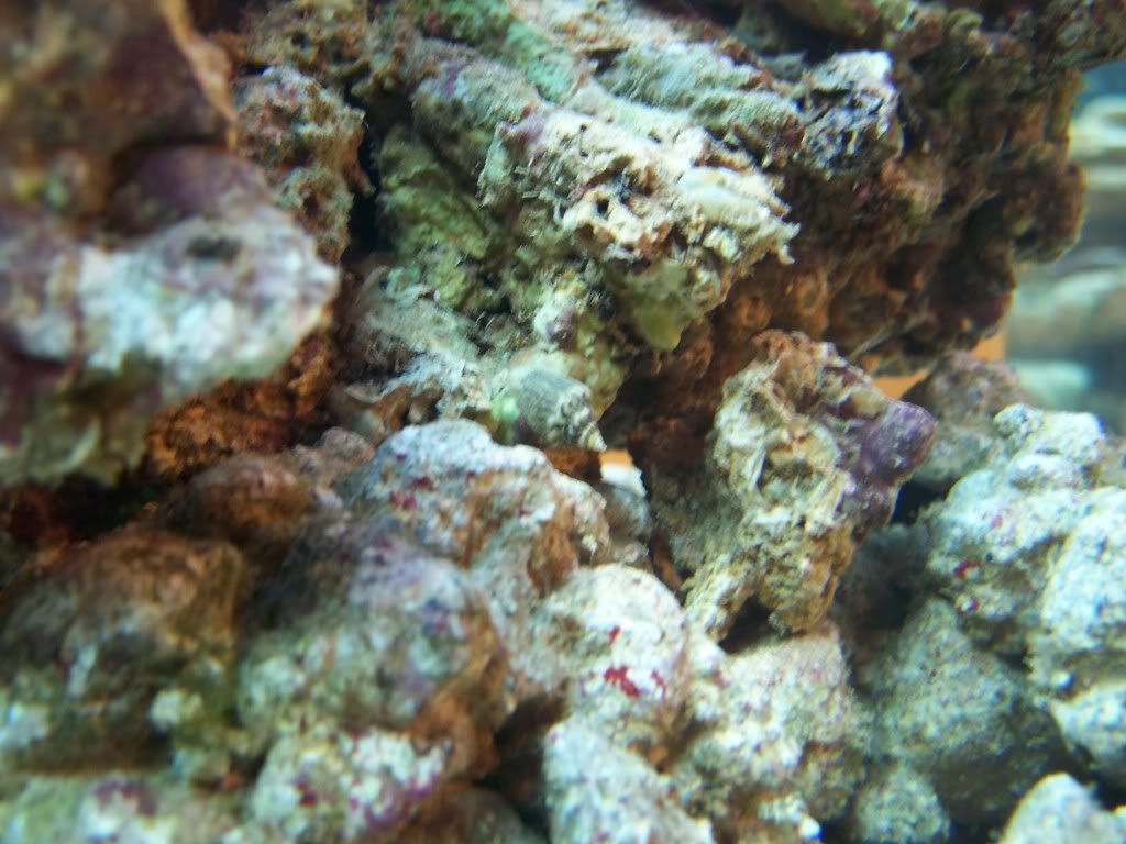 100_1054.jpg