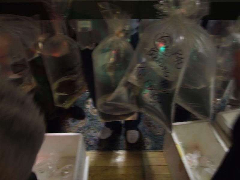 DSCF2511Medium.jpg