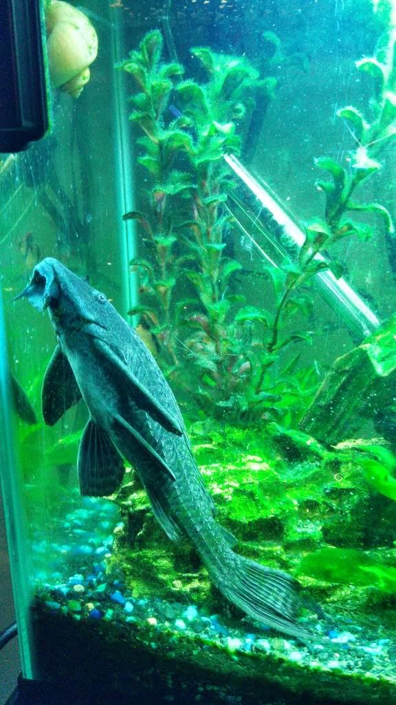 IMG_20121215_212710_752.jpg
