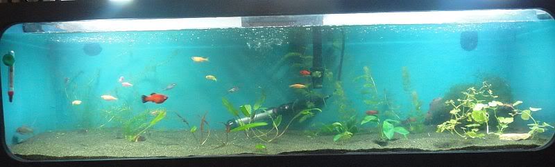 fulltankviewOct24.jpg