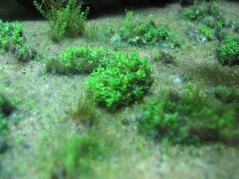 25update012.jpg