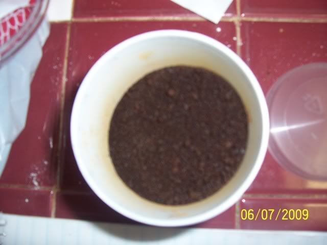 100_6544.jpg
