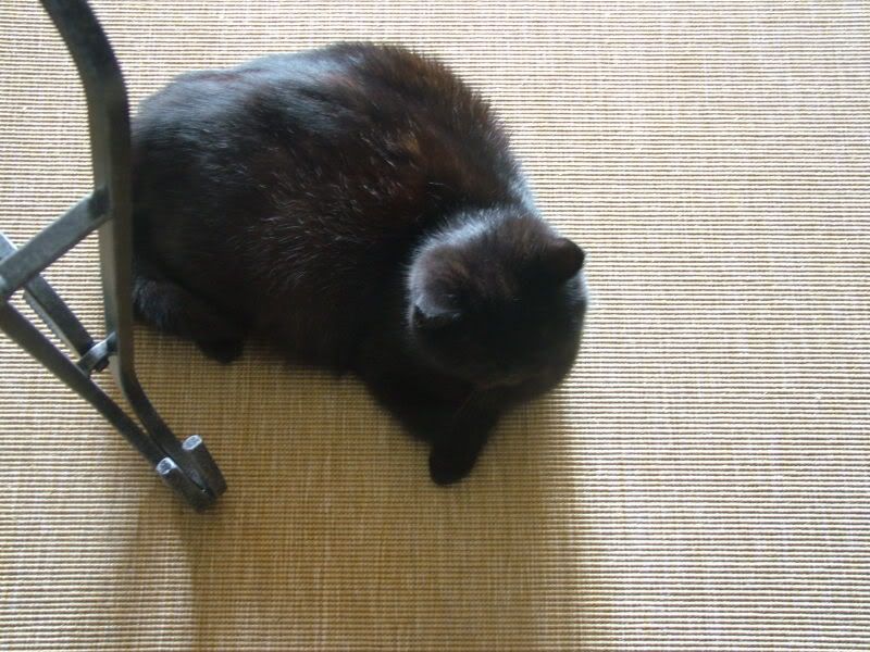 DSCF4937.jpg