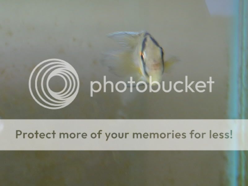 PictureorVideo321.jpg