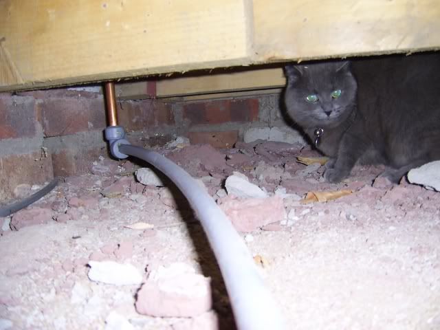 storm_under_floor.jpg