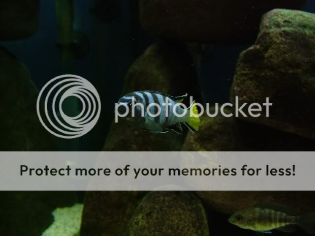 DSCF3561.jpg