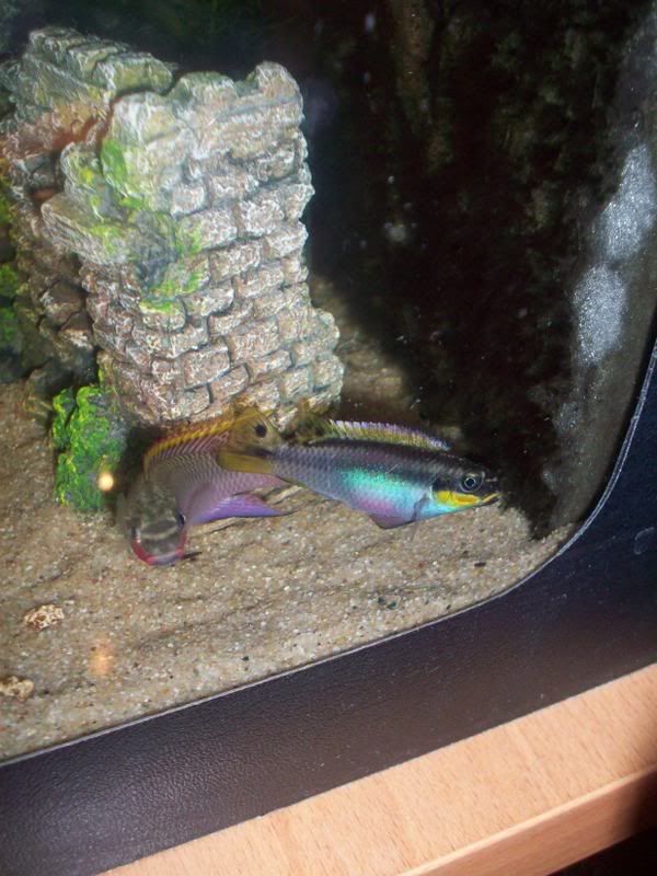 100_2527.jpg