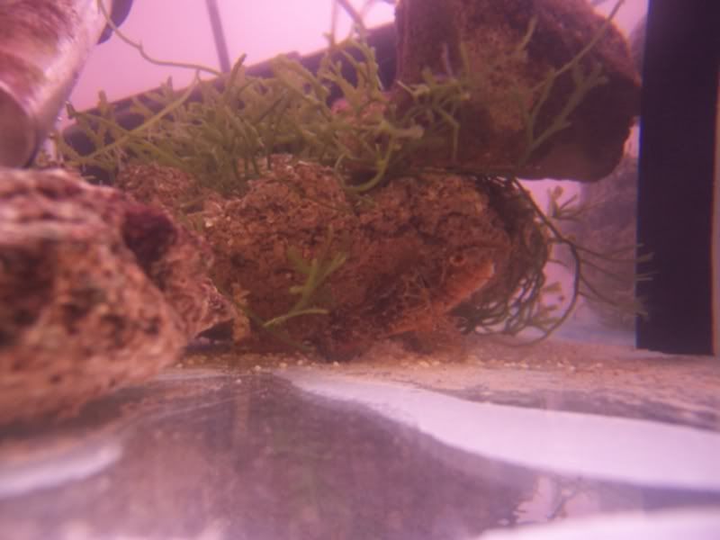 100_4859.jpg