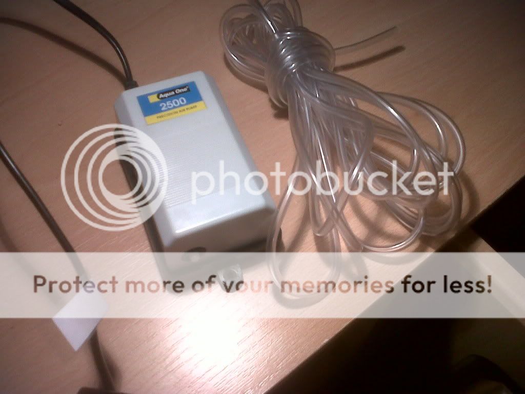 IMG00089-20110609-2246.jpg