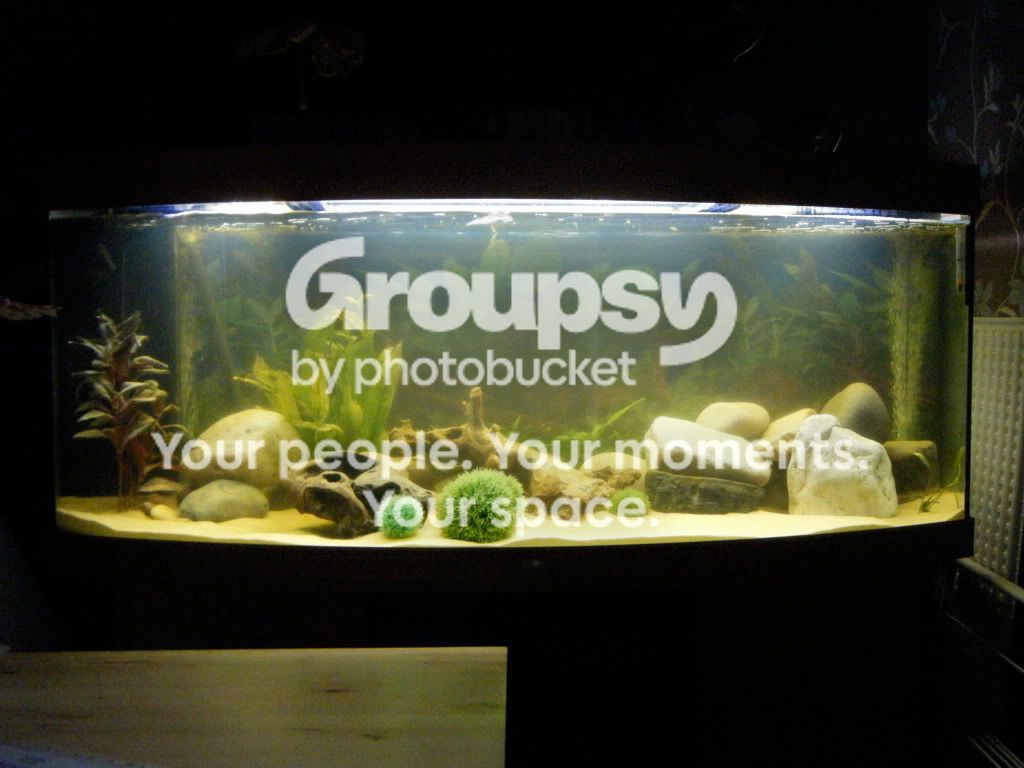 DSCF0971.jpg