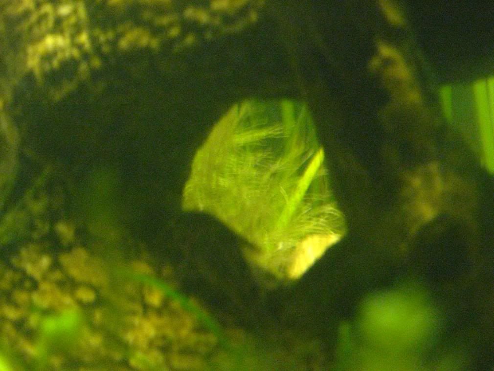 IMG_0015.jpg