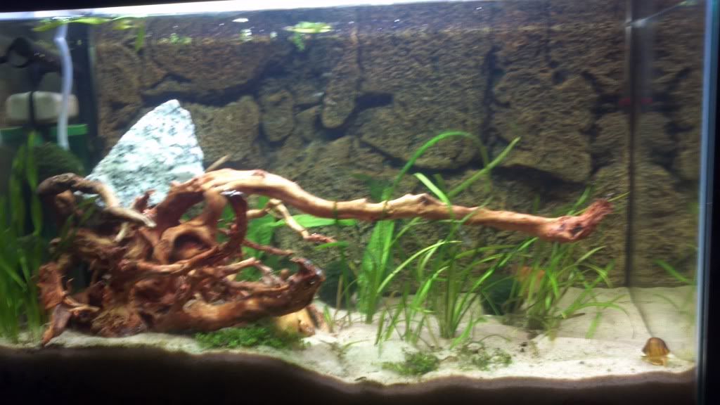 2012-04-17_22-42-07_3.jpg