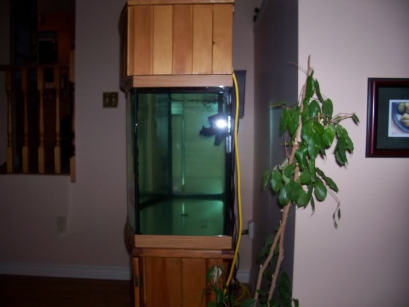 Picture035.jpg