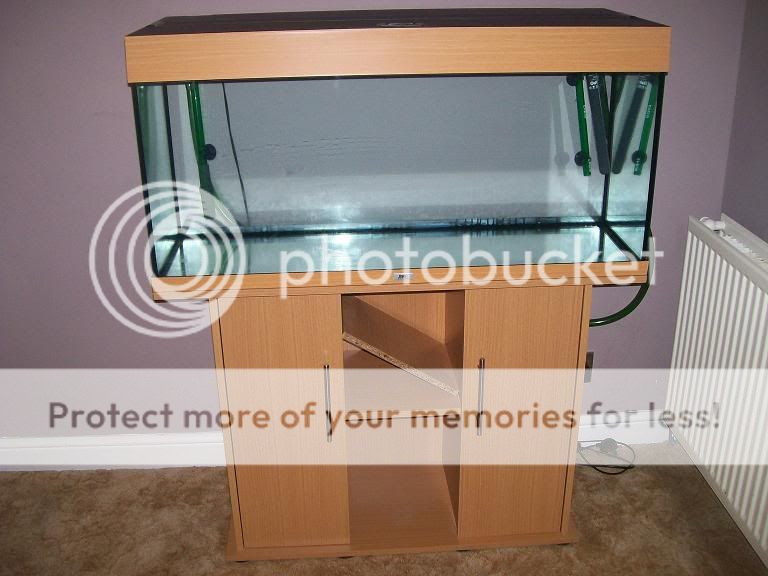 UpdatedPictures.jpg