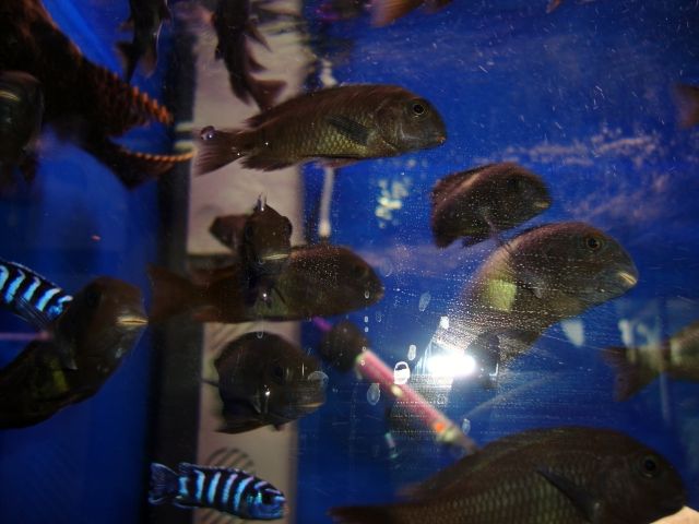 DSC01378.jpg