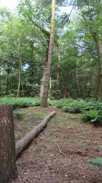 DSC01666.jpg