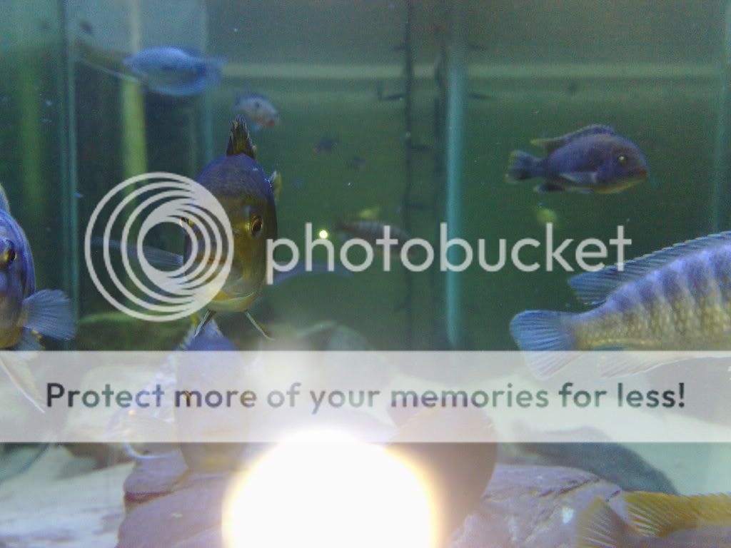 07062009344.jpg