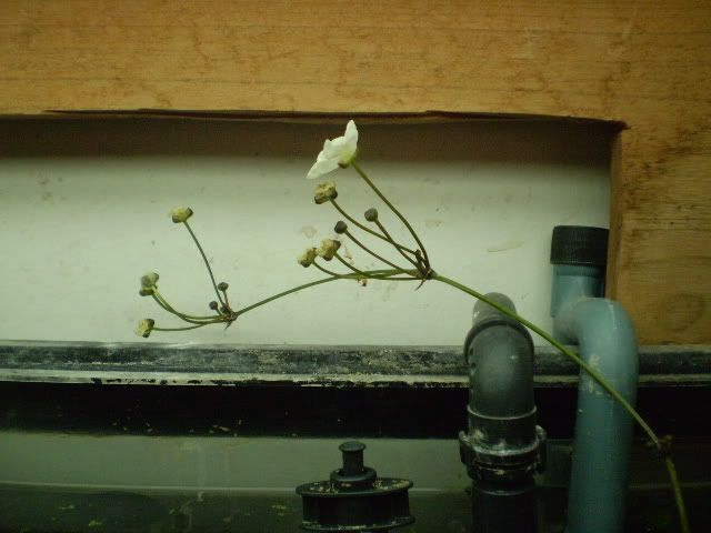 043.jpg