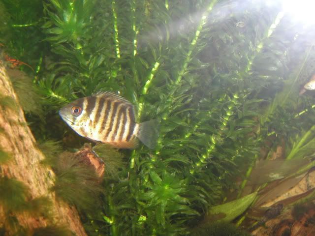 P1010013.jpg