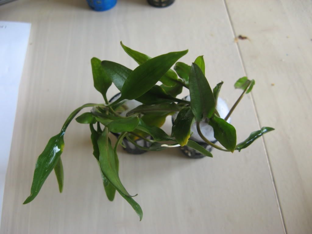 IMG_5790.jpg