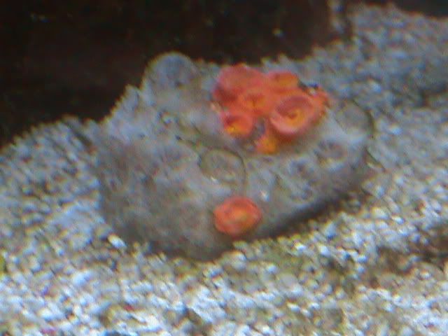 DSC00051.jpg