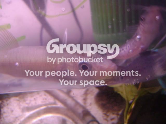 DSC01141.jpg