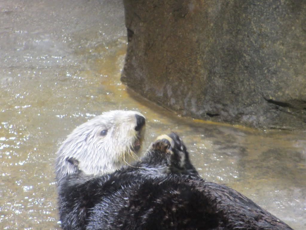 IMG_0319.jpg