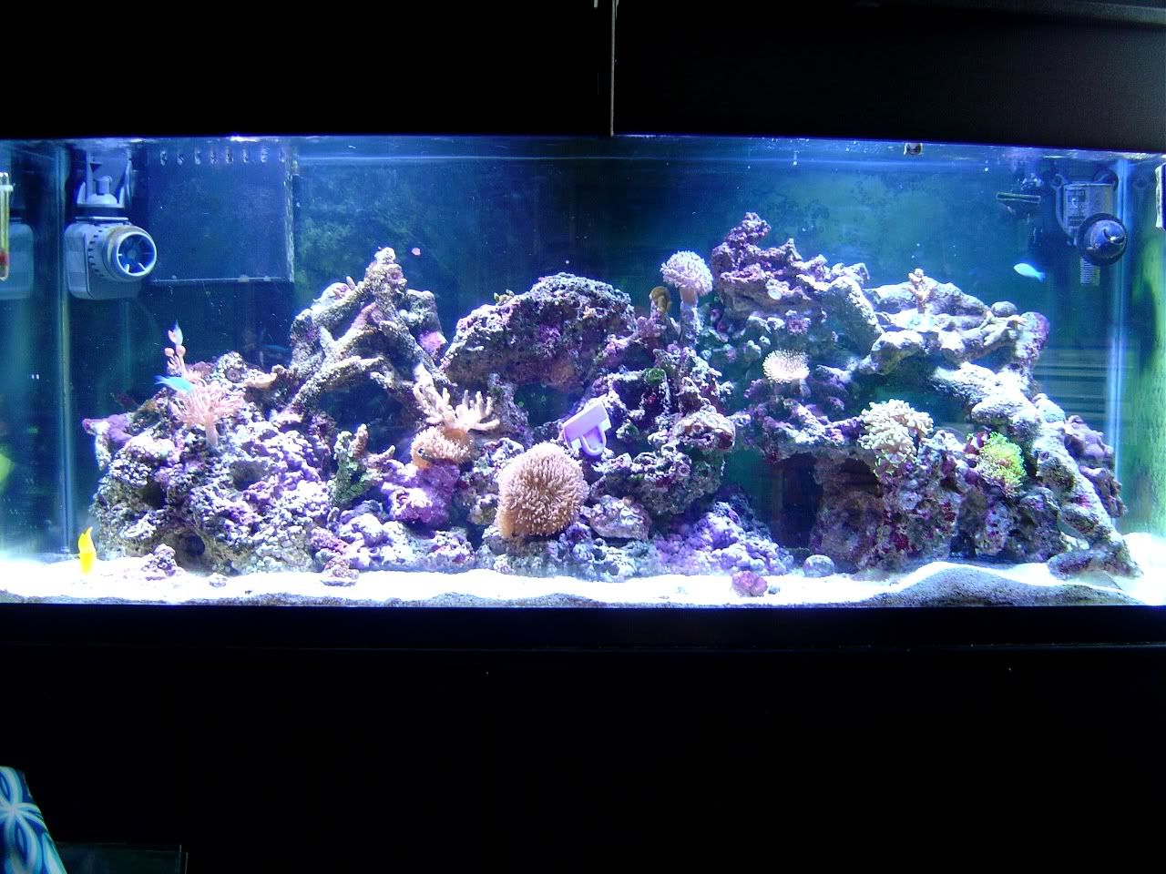 1100018.jpg